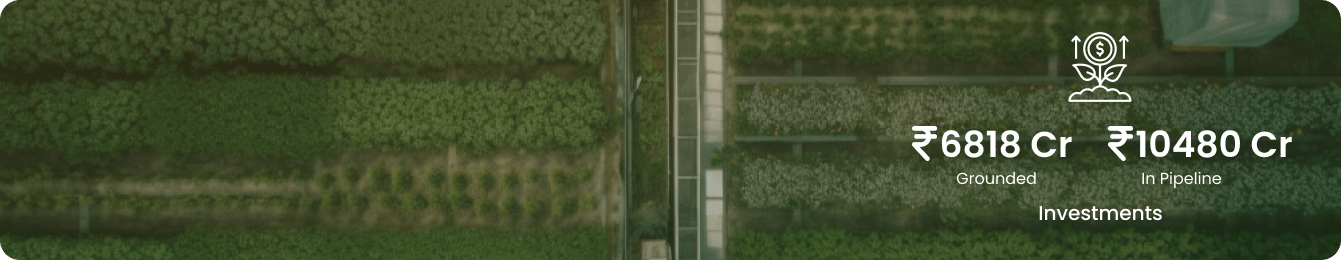 Frame 1 (1)