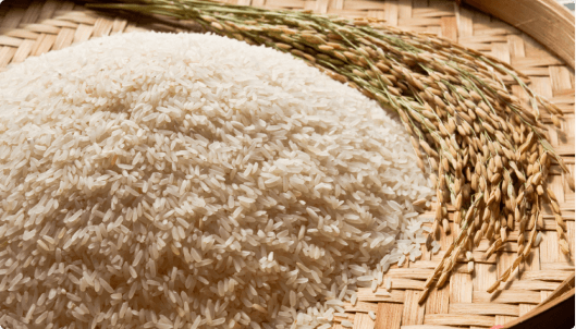 Rice