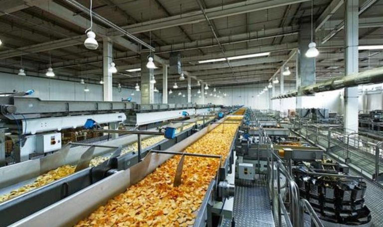 Food_Processing-768x456