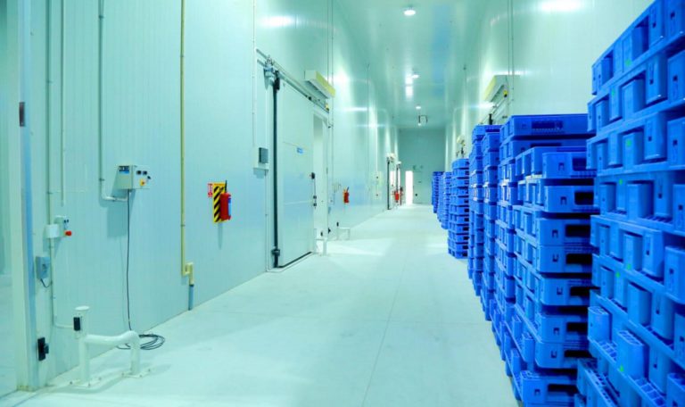 cold-storage-Infrastructure-768x456