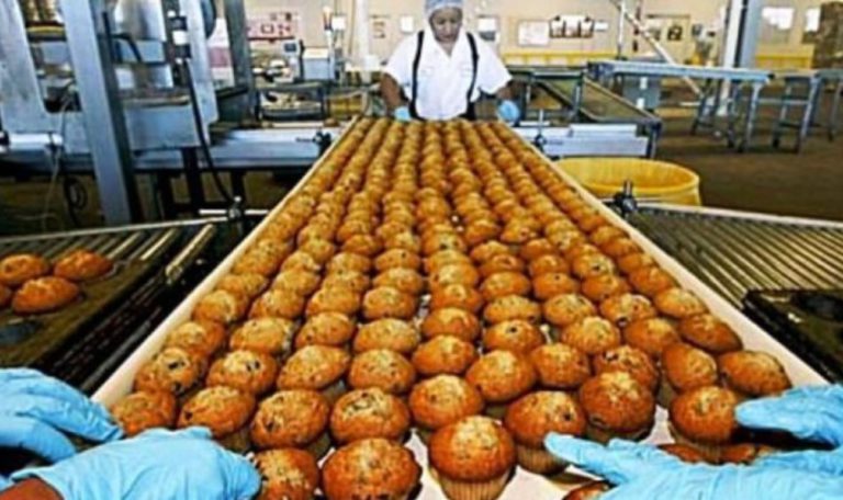 food-processing-678x381-1-768x456