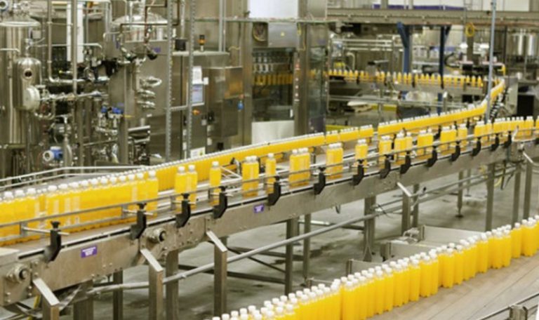 food-processing-768x456